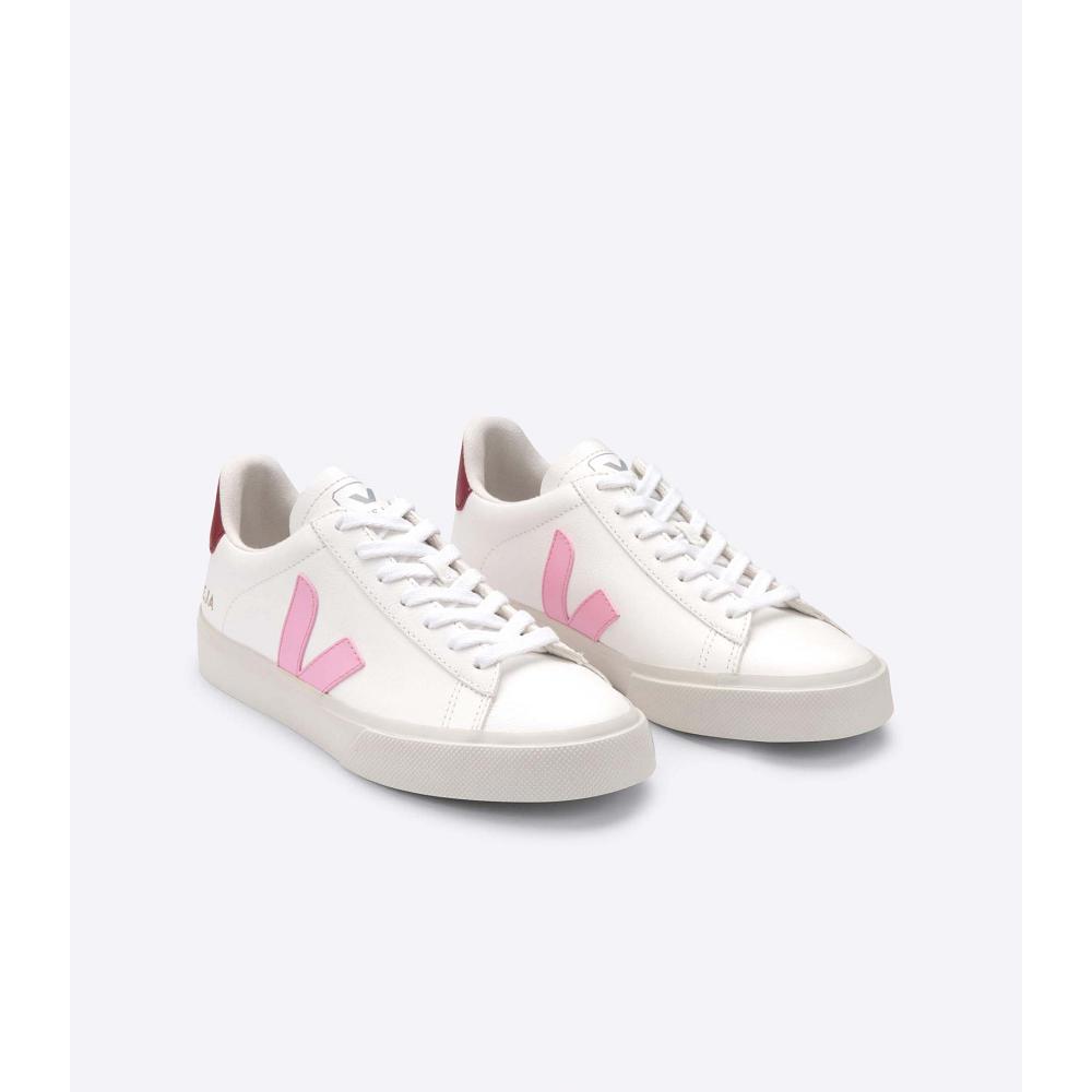 Veja CAMPO CHROMEFREE Men's Low Tops Sneakers White/Pink | CA 193WNB